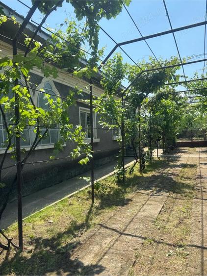 vanzare casa si teren - 10