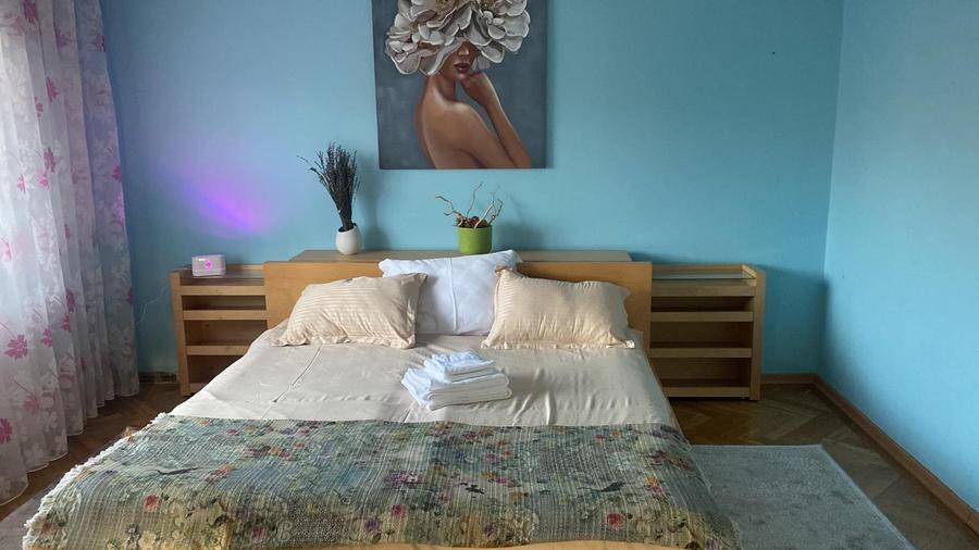 Vila individuala Victoriei pretabil birouri clinica restaurant rezidenta - 35