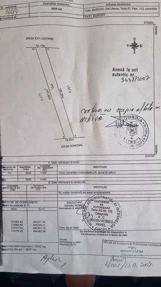 Vand 3600 mp padure, in Bascov, zona Uiasca - 2