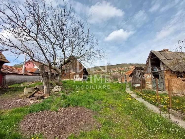 CASA TRADITIONALA 4 CAMERE, TEREN 3077, PETRISAT ALBA - 3