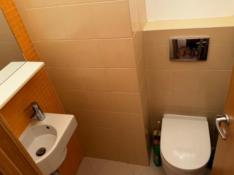 Apartament cochet - 16