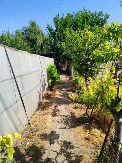 Casa + Curte + Teren arabil generos, Nerau, Teremia Mare, 1596 mp, locuibila imediat - 6