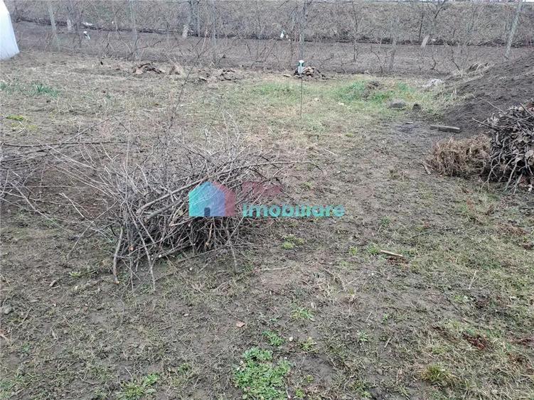 Teren intravilan 700 mp Sf. Ilie - 8