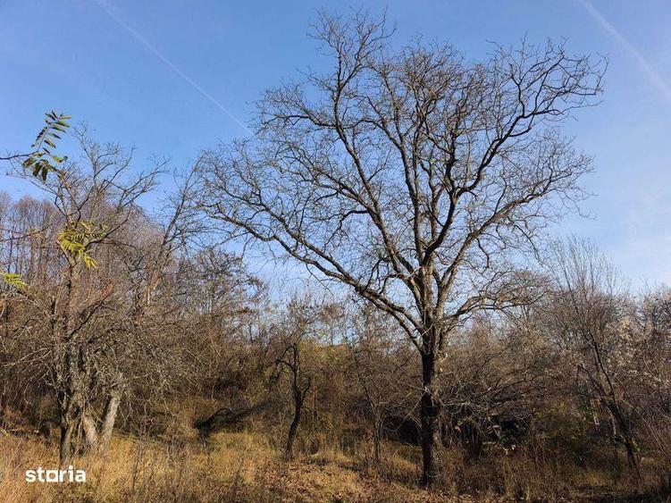 Teren intravilan Breaza 4,000mp cu utilitati. Panorama. Intimitate. - 2