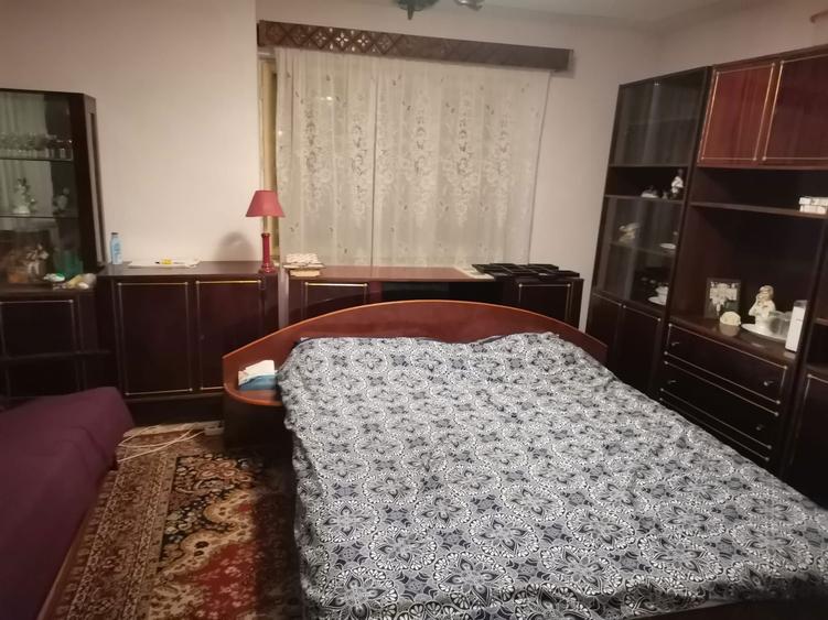 Casa cu gradina pe 2000 mp in SEBES - 6