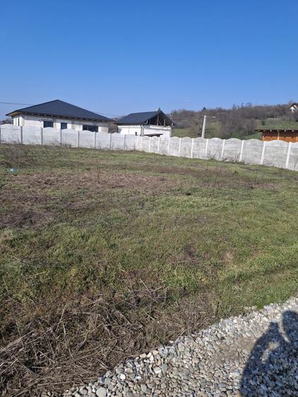 Teren intravilan loc Proaspeti, Com Curtisoara 511mp - 6