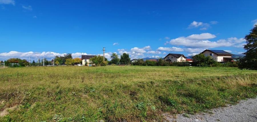 Proprietar Vand Teren 4223 mp - 5