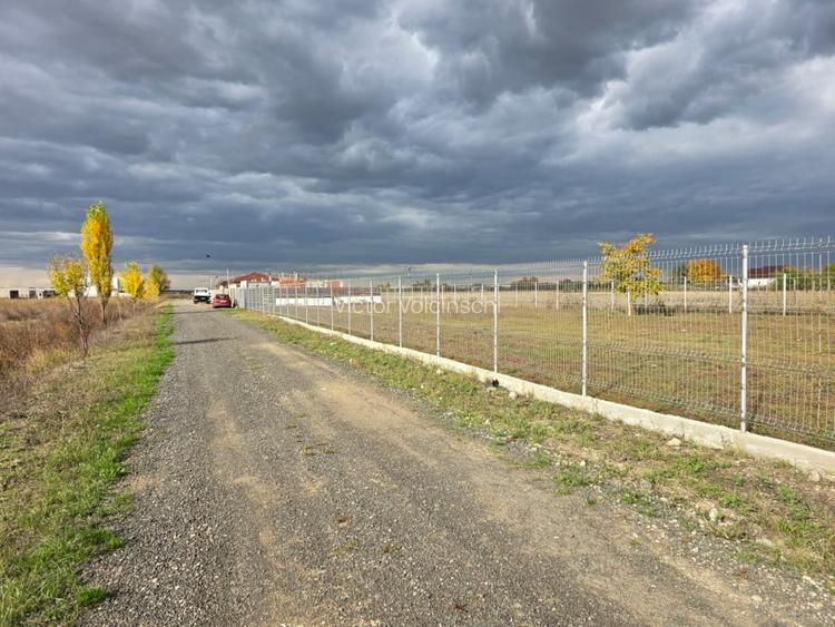 Teren intravilan Dimieni, 500mp, 29ml deschidere, pretabil constructie casa Teren intravilan Dimieni, 500mp, 29ml deschidere, pretabil constructie casa
