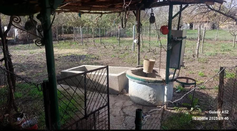 Casa de vanzare Comuna Nicolae Balcescu Sat Bujoru Jude?ul Teleorman - 7