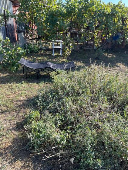 Vand casa in Podari in zona excelenta - 7