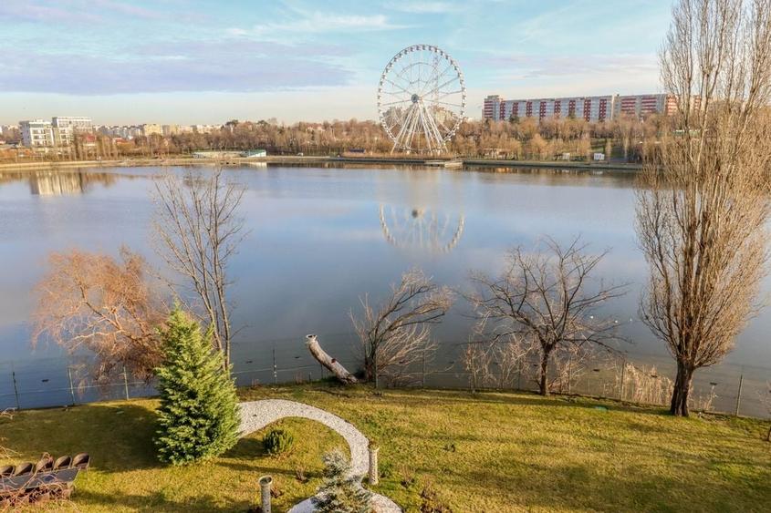 Vila de vanzare 11 camere zona Tei 1450 mp - 3