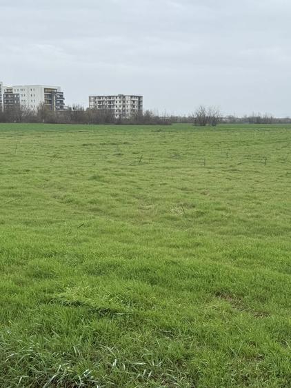 Teren zona Hipodrom 3000 mp - 3