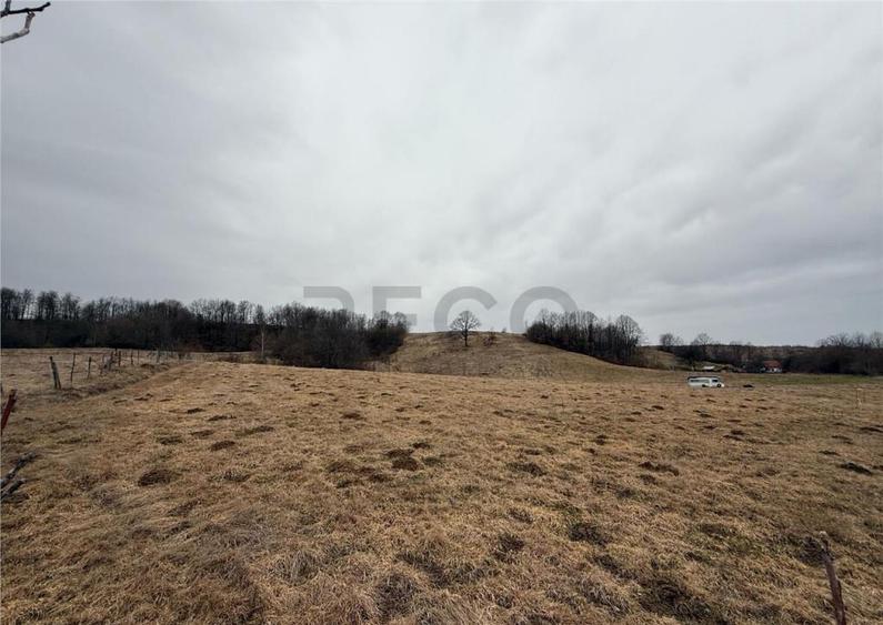 RECO , teren intravilan in Tomnatic, Vadu Crisului - 2