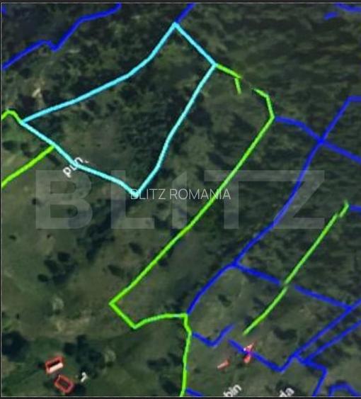Padure 1,42 hectare in Poiana Ilvei