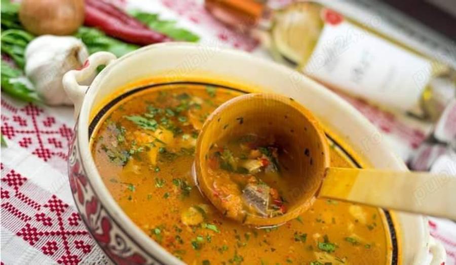 vand 2309 mp teren 100% construibil, pt diverse afaceri - 15 km de Timisoara la soseaua principala - 8