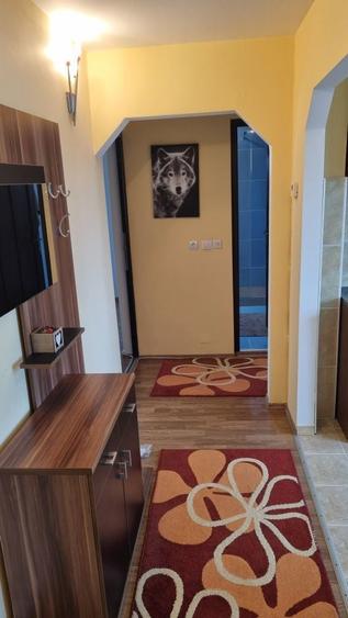 Apartament cu 2 camere decomandat, 53 mp utili, complet mobilat si utilat Str. Zambilelor nr. 8, aproape de Parcul Teilor - 5