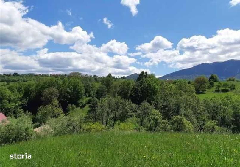 BRAN-teren intravilan - 5