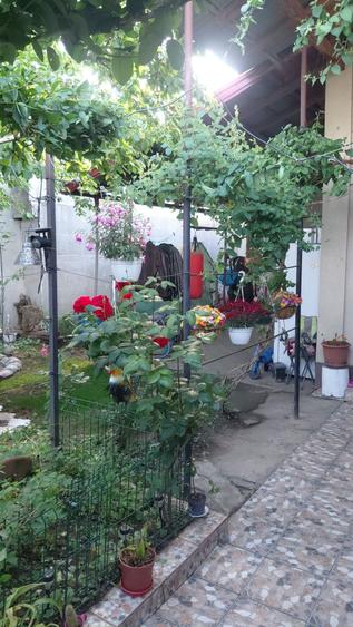 Casa de vanzare sector 4 - 4
