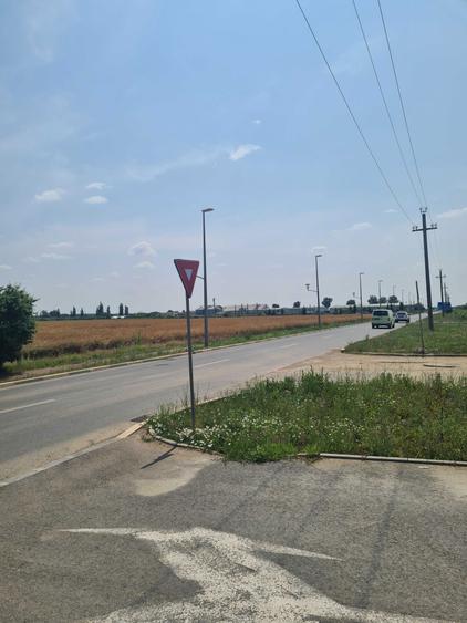 NOU Teren Lac Buftea 13.400 mp PUZ aprobat constructie vile - 4