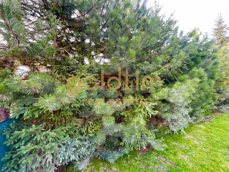 SUPERB/ ESQUISITE DESIGN/ GARDEN/ PARKINGS/ IANCU NICOLAE - 86