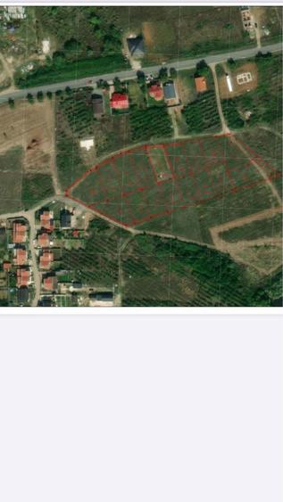 Locuri de casa cu puz 593-537-539-768mp-str Margaretelor Paleu-80E/mp. - 5