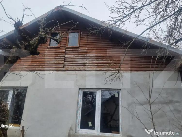 TEREN zona aer curat CASA si ANEXA - 1