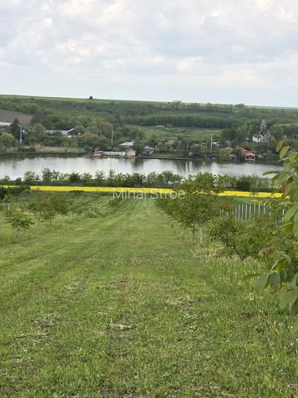 Vand casa la balta si 5000 metri patrati cu livada de 110 nuci