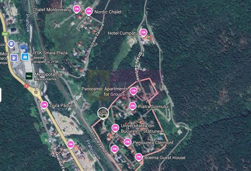 Teren extravilan in Sinaia (25 euro/mp) - 1