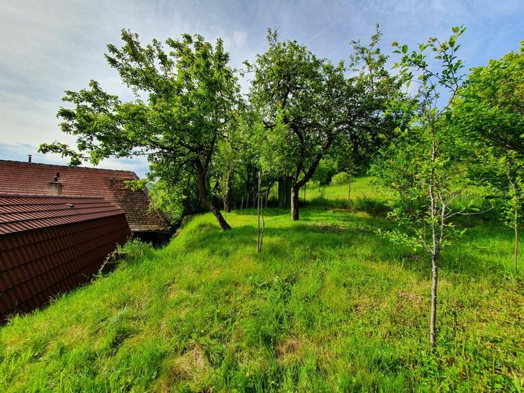 Vind vila in satul ROD- Pe drumul TRANSALPINA - 4