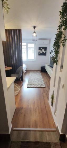 Garsoniera zona ultracentrala langa casa de cultura - 5