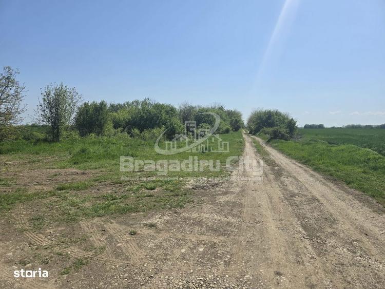 Teren Ordoreanu parcelat ideal investitie - 3