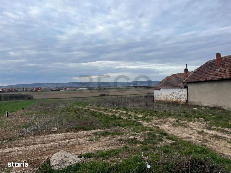 RECO Teren intravilan 700 mp cu toate utilitatile- la asfalt Cheriu - 3