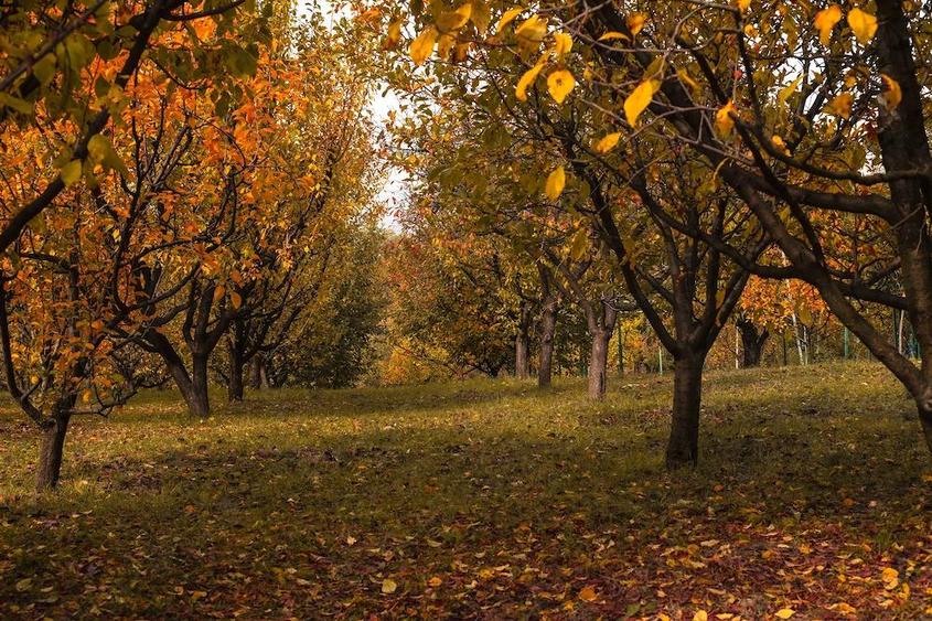 Casa si teren zona deosebita - 3