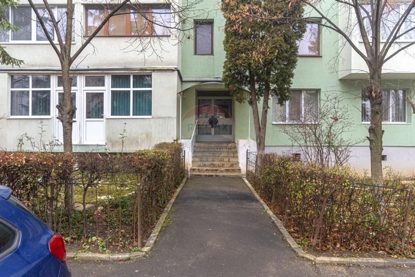 Apartament 2 camere în zona Astra Micsunica - 24