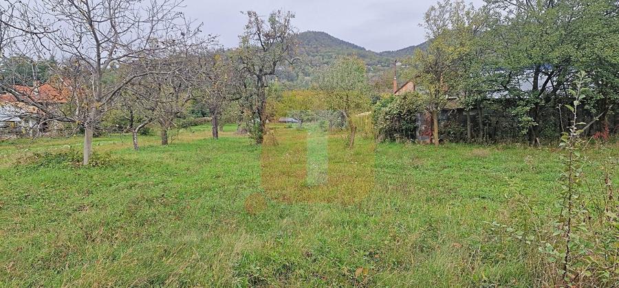 Teren intravilan de vânzare – 1.350 mp – Comuna Alexandru cel Bun - 4