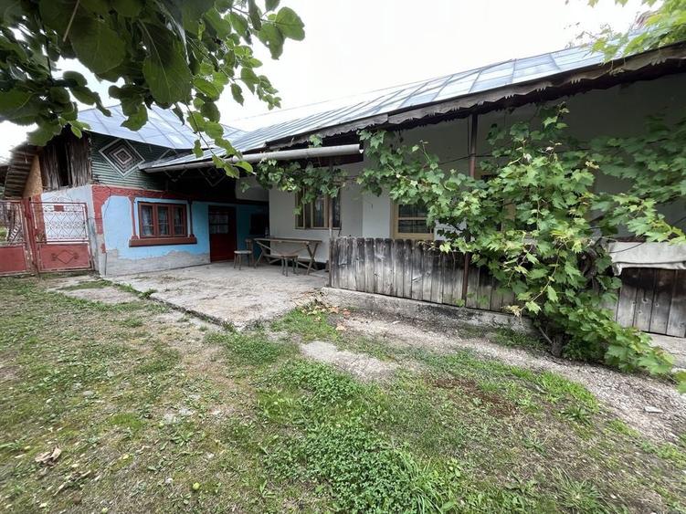 Casa plus anexe 1000 mp - 2