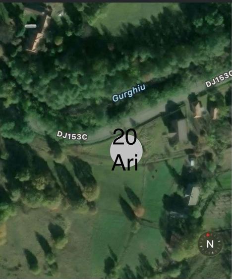 Teren de vanzare, Ibanesti Padure - 1