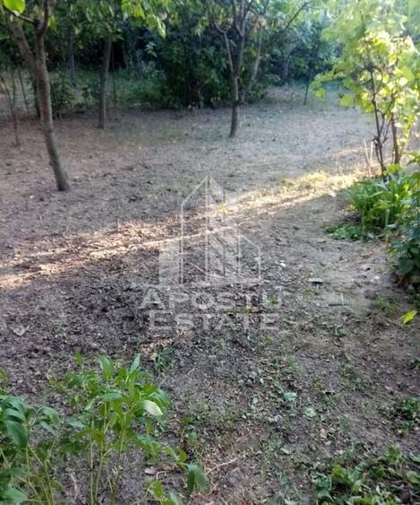 Casă veche în Timișoara  cu teren generos 806 mp - 2