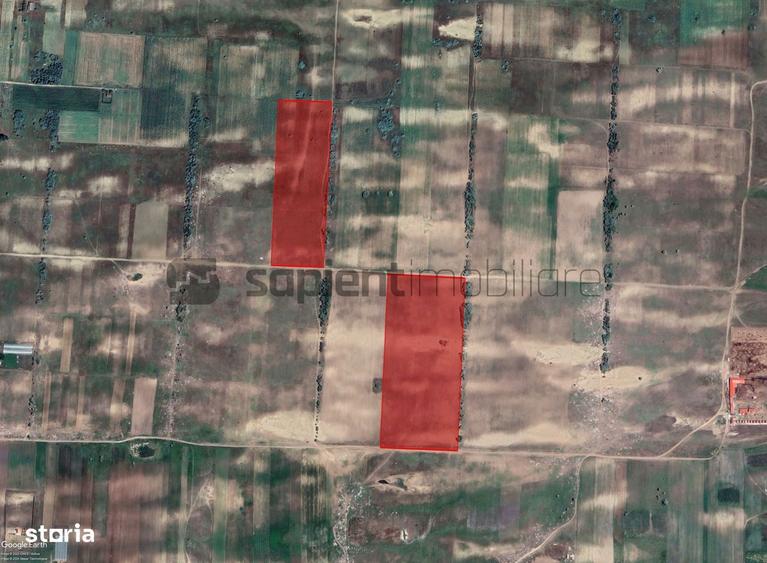 Sapient | Teren agricol _ loc. Desa, jud. Dolj - 4