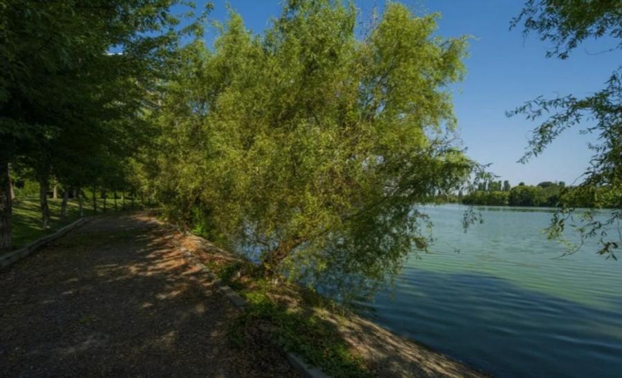 Laguna Residence | PentHouse | 5 Camere | Vedere Superba Catre Lacul Tei - 8