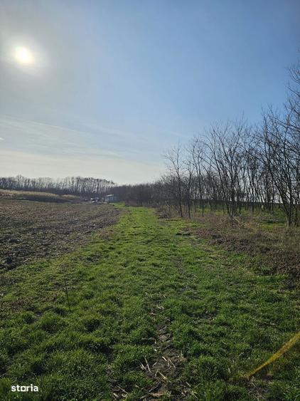 Teren extravilan pentru balastiera Biharia - 2