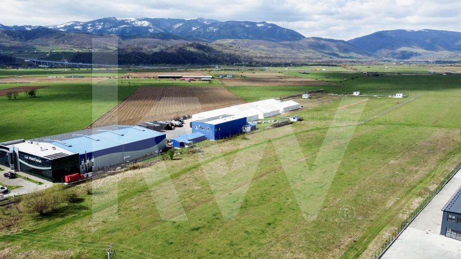 Oportunitate de Investitie sau Constructie Hala – Teren 3.900 mp | Talmaciu - 5