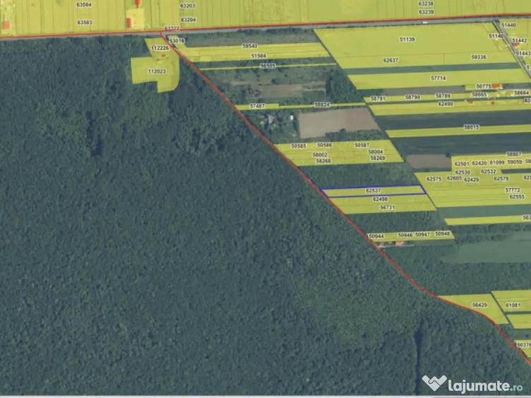 `Teren cu dubla deschidere, langa padure, Snagov - Strada Pa - 1