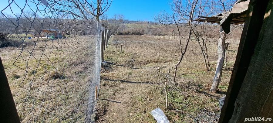 Casă 136 mp + anexa 56 mp + teren 1510 mp - 5