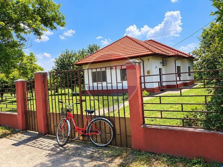 Casă individuală cu 6 camere cu Teren 4800 Mp în Ciocănești