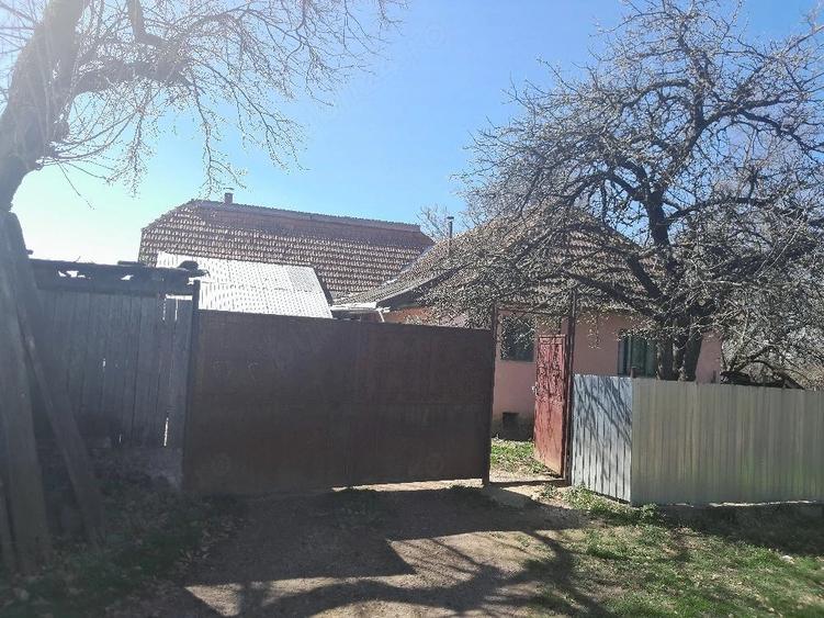 Casă cu Teren 3850 Mp în Roșia