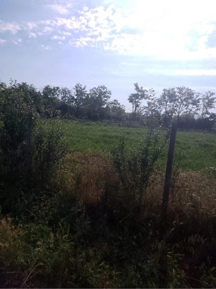 Teren de 1000 mp, în Măicănești