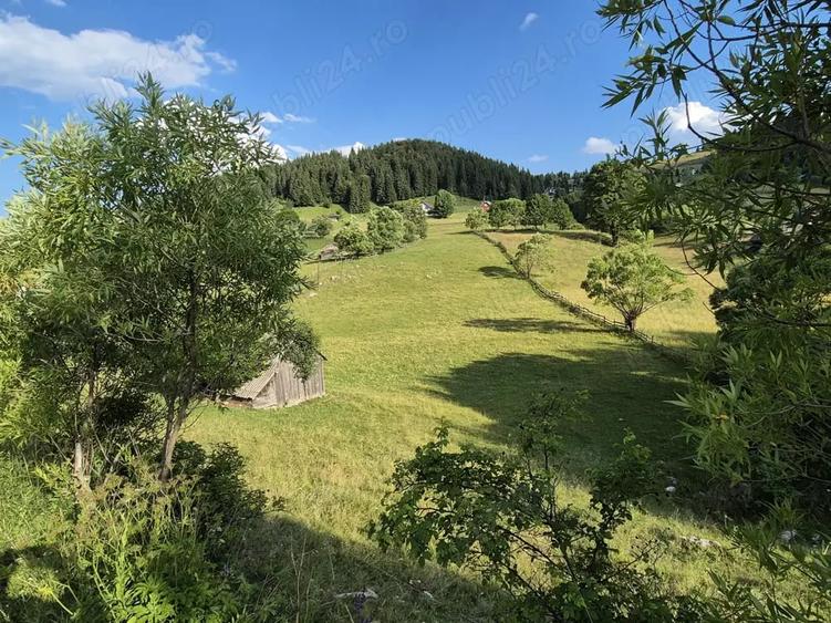 Teren de 6300 mp, în Fundata