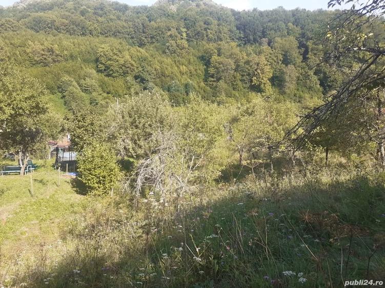 Teren de 6470 mp, în Nădrag