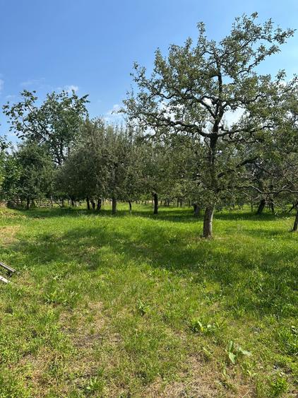 Teren de 1500 mp, în Gemenea-Brătulești